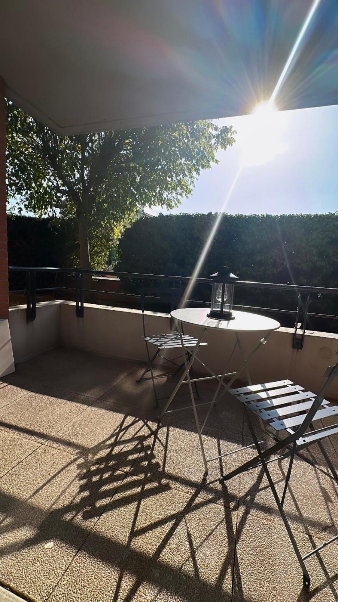 Residence Villa Rose T3 Parking Prive Tuluza Zewnętrze zdjęcie
